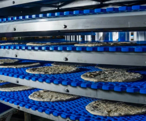 bakery conveyor equipment1.jpg