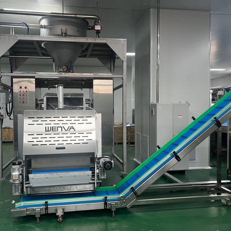 Layin Samar da Biscuits Crispy